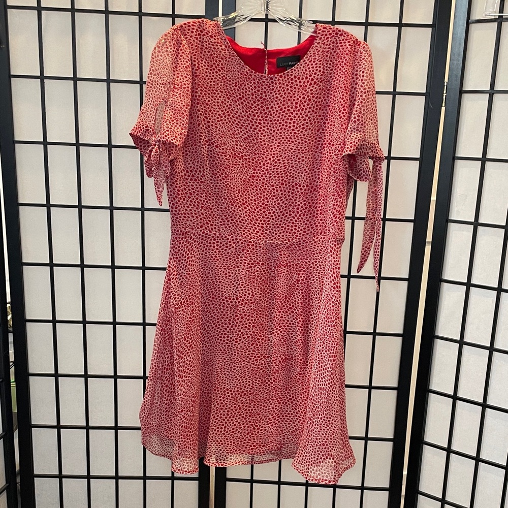 Lucy Paris Red and Black Mini Dress